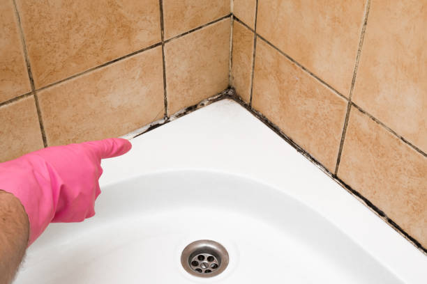 Best Residential Mold Removal  in Waimanalo Beach, HI